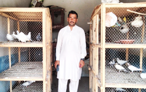 Muhammad Ahmad Shahzad