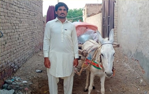 Faisal Mehmood