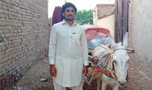 Faisal Mehmood