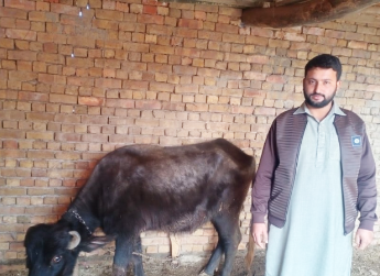 Zameer Hussain