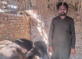 Shan Ali 