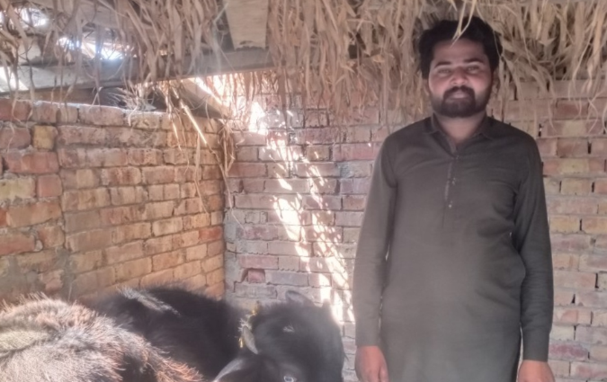 Shan Ali 