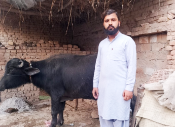 Rizwan Shahid