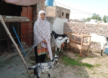 Farzana Naheed 