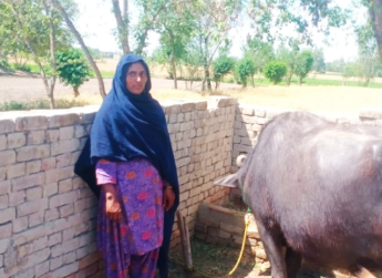 Asifa Bibi