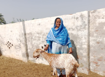 Musarat bibi