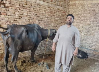 Dilshad Hussain 
