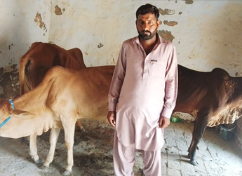 Kashif Ameer 