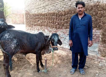 Muhammad Naeem