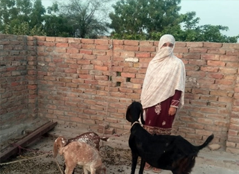 Bushra Hassan 
