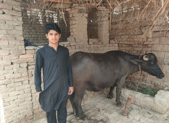 Imran Ahmad 