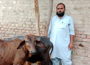 Muhammad Mansha 