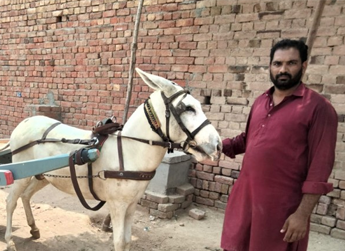 Shakeel