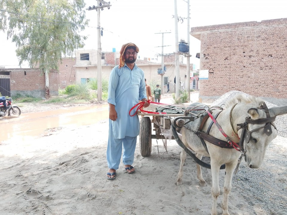 Naseem ul Haq - business established